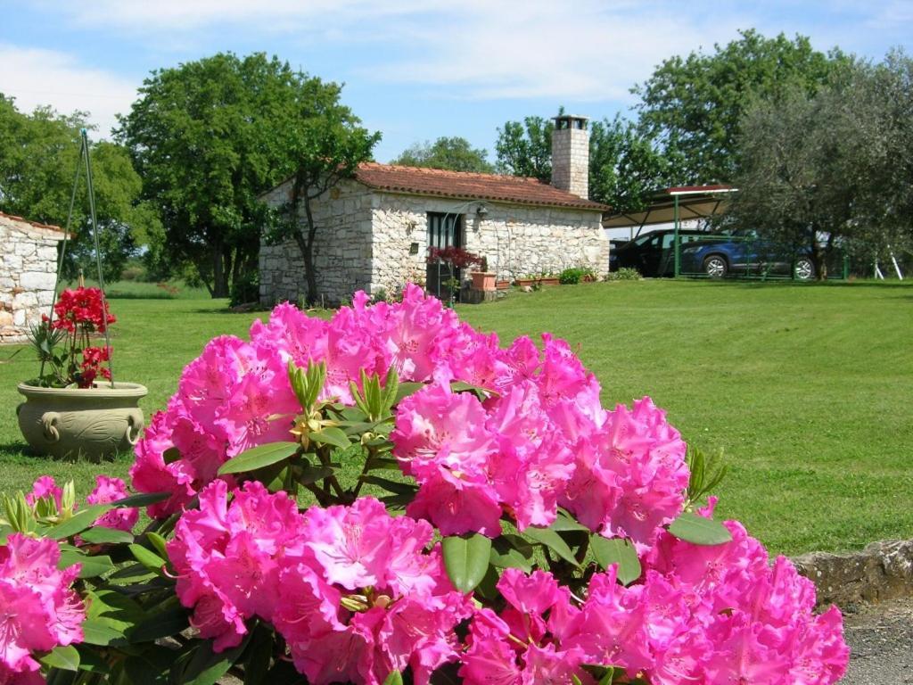 Moratto'S Apartments Umag Eksteriør bilde